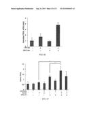 SMALL MOLECULE TRAIL GENE INDUCTION BY NORMAL AND TUMOR CELLS AS AN     ANTICANCER THERAPY diagram and image