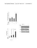 SMALL MOLECULE TRAIL GENE INDUCTION BY NORMAL AND TUMOR CELLS AS AN     ANTICANCER THERAPY diagram and image