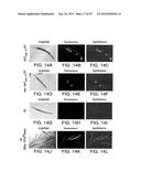 METHODS OF TREATING DISORDERS ASSOCIATED WITH PROTEIN AGGREGATION diagram and image