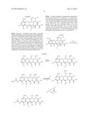 9-SUBSTITUTED MINOCYCLINE COMPOUNDS diagram and image