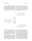 9-SUBSTITUTED MINOCYCLINE COMPOUNDS diagram and image