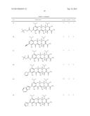 9-SUBSTITUTED MINOCYCLINE COMPOUNDS diagram and image