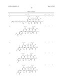 9-SUBSTITUTED MINOCYCLINE COMPOUNDS diagram and image