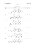 9-SUBSTITUTED MINOCYCLINE COMPOUNDS diagram and image