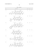 9-SUBSTITUTED MINOCYCLINE COMPOUNDS diagram and image