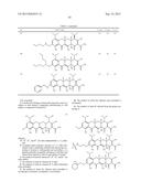 9-SUBSTITUTED MINOCYCLINE COMPOUNDS diagram and image