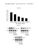 Composition Comprising Centipede Grass Extracts or Fractions Thereof as     Active Ingredients diagram and image