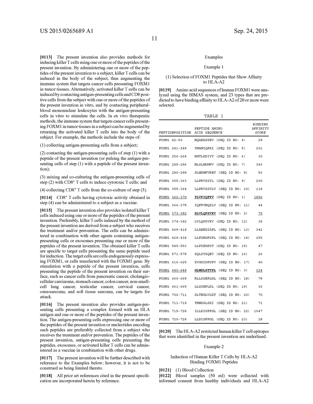 FOXM1 PEPTIDE AND MEDICINAL AGENT COMPRISING THE SAME - diagram, schematic, and image 13