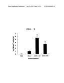 THERAPEUTIC AGENT FOR CANCER diagram and image