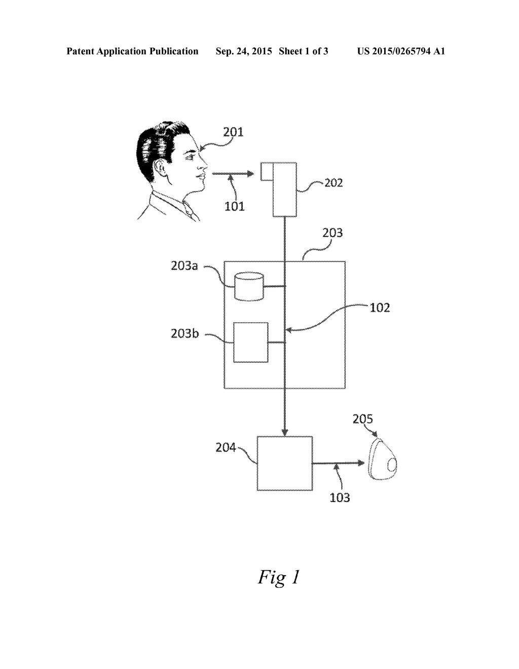 Customized Breathing Mask - diagram, schematic, and image 02