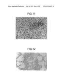 METHOD FOR PRODUCING FINE SILVER PARTICLES diagram and image