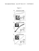 LOW STRAIN PNEUMATIC NETWORKS FOR SOFT ROBOTS diagram and image