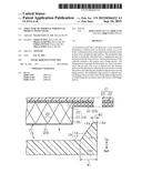 STRUCTURE OF TERMINAL PORTION OF PRODUCT WITH COVER diagram and image