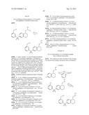 TETRALIN AND INDANE DERIVATIVES AND USES THEREOF diagram and image