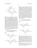 TRIAZINE COMPOUNDS AND PHARMACEUTICAL USE THEREOF diagram and image