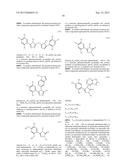 TRIAZOLE COMPOUNDS THAT MODULATE HSP90 ACTIVITY diagram and image