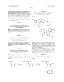 TRIAZOLE COMPOUNDS THAT MODULATE HSP90 ACTIVITY diagram and image