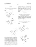 TRIAZOLE COMPOUNDS THAT MODULATE HSP90 ACTIVITY diagram and image