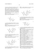 TRIAZOLE COMPOUNDS THAT MODULATE HSP90 ACTIVITY diagram and image