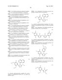 TRIAZOLE COMPOUNDS THAT MODULATE HSP90 ACTIVITY diagram and image