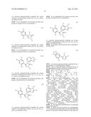 TRIAZOLE COMPOUNDS THAT MODULATE HSP90 ACTIVITY diagram and image