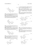 TRIAZOLE COMPOUNDS THAT MODULATE HSP90 ACTIVITY diagram and image