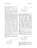 TRIAZOLE COMPOUNDS THAT MODULATE HSP90 ACTIVITY diagram and image