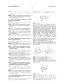 TRIAZOLE COMPOUNDS THAT MODULATE HSP90 ACTIVITY diagram and image