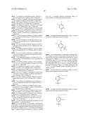 TRIAZOLE COMPOUNDS THAT MODULATE HSP90 ACTIVITY diagram and image