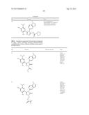 TRIAZOLE COMPOUNDS THAT MODULATE HSP90 ACTIVITY diagram and image