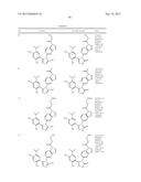 TRIAZOLE COMPOUNDS THAT MODULATE HSP90 ACTIVITY diagram and image