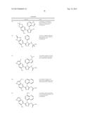 TRIAZOLE COMPOUNDS THAT MODULATE HSP90 ACTIVITY diagram and image