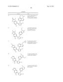 TRIAZOLE COMPOUNDS THAT MODULATE HSP90 ACTIVITY diagram and image