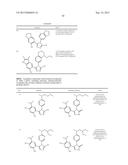 TRIAZOLE COMPOUNDS THAT MODULATE HSP90 ACTIVITY diagram and image