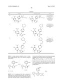 TRIAZOLE COMPOUNDS THAT MODULATE HSP90 ACTIVITY diagram and image