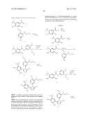 TRIAZOLE COMPOUNDS THAT MODULATE HSP90 ACTIVITY diagram and image