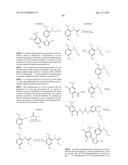 TRIAZOLE COMPOUNDS THAT MODULATE HSP90 ACTIVITY diagram and image