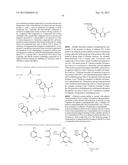 TRIAZOLE COMPOUNDS THAT MODULATE HSP90 ACTIVITY diagram and image