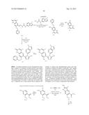 TRIAZOLE COMPOUNDS THAT MODULATE HSP90 ACTIVITY diagram and image