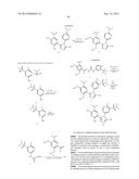 TRIAZOLE COMPOUNDS THAT MODULATE HSP90 ACTIVITY diagram and image