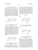 NOVEL COMPOUNDS THAT ARE ERK INHIBITORS diagram and image