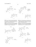 NOVEL COMPOUNDS THAT ARE ERK INHIBITORS diagram and image