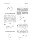 NOVEL COMPOUNDS THAT ARE ERK INHIBITORS diagram and image