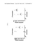 HIGH EFFICIENCY METHOD FOR PURIFYING HUMAN PAPILLOMAVIRUS VIRUS-LIKE     PARTICLES diagram and image