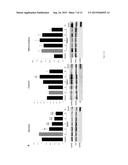 PEPTIDE DIRECTED PROTEIN KNOCKDOWN diagram and image