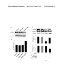 PEPTIDE DIRECTED PROTEIN KNOCKDOWN diagram and image