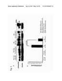 VACCINE FOR TREATMENT OF TAUTOPATHY diagram and image