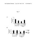 VACCINE FOR TREATMENT OF TAUTOPATHY diagram and image