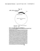 VACCINE FOR TREATMENT OF TAUTOPATHY diagram and image