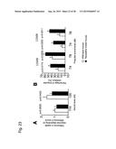 VACCINE FOR TREATMENT OF TAUTOPATHY diagram and image